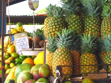 panama rundreise 2 wochen