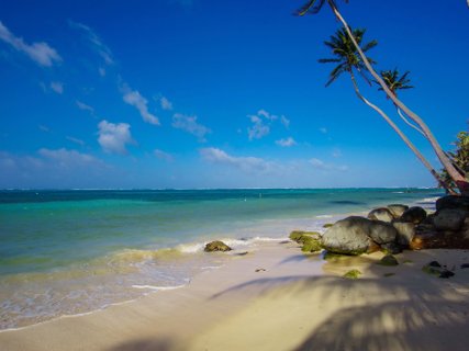 Corn Islands - Blick auf das türkisfarbene Meer und Palmen