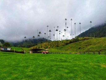 Cocoratal - Kolumbien Rundreise 2 Wochen