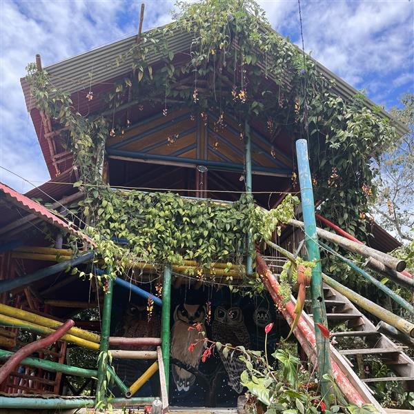 Kolumbien Reisebericht - haus bewachsen mit Pflanzen
