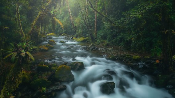 fotoreise costa rica - Bachlauf
