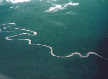 Peru regenwald