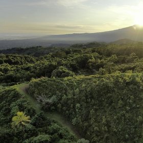 Regenwald von La Tigra im Sonnenuntergang