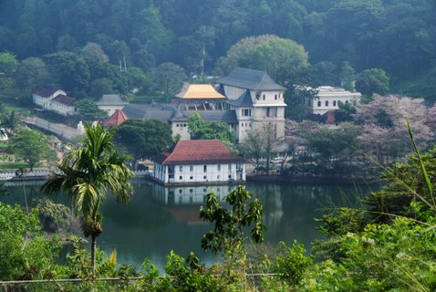 Privatreise Sri Lanka - Zahntempel in Kandy