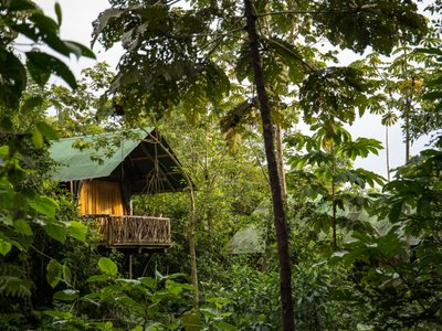 Costa Rica La Tigra Regenwald Lodge - Highlights in Costa Rica