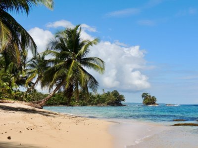Strand mit Palme - Panama Highlights