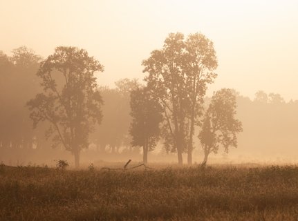 Indien