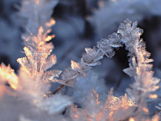 Schneeflocken glänzen im Sonnenuntergang