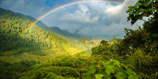 Ein Regenbogen spannt sich über ein grün bewaldetes Tal
