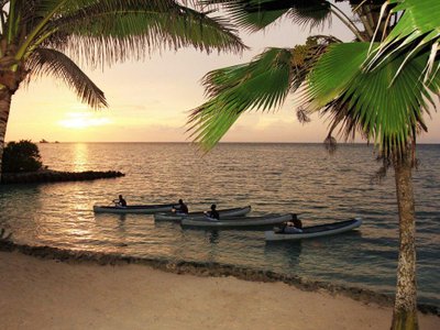 Palmen am Strand bei Sonnenuntergang