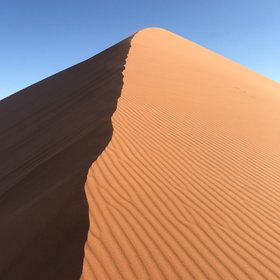 Orangene Sanddüne in der Namib-Wüste