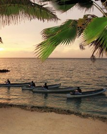 Palmen am Strand bei Sonnenuntergang