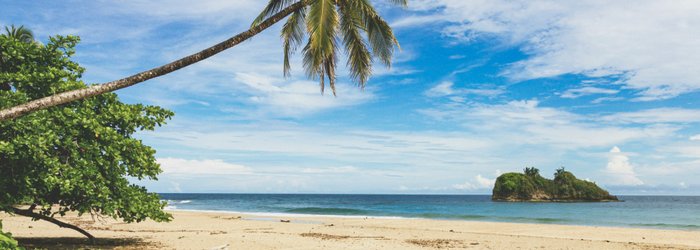 Costa Rica Urlaub - Karibikstrand - Palmen und Meer