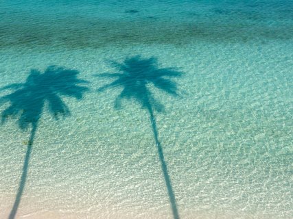 Corn Islands - Palmen werfen Schatten auf Traumstrand