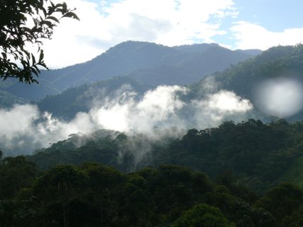 Ecuador Gruppenreise - Wald mit Nebel