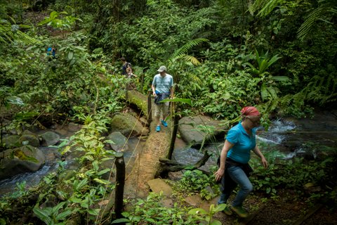 costa rica und panama rundreise - Wanderung durch Regenwald