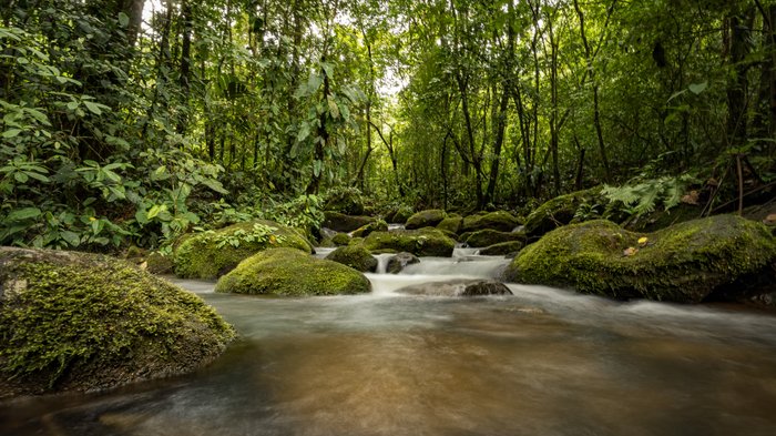 Ein kleiner Fluss in der Nähe von La Tigra.