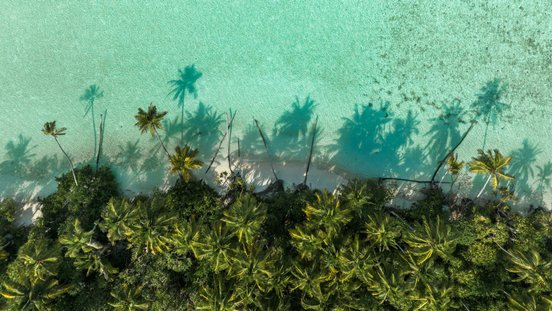 Schatten von Palmen im türkisfarbenen Wasser auf Corn Island