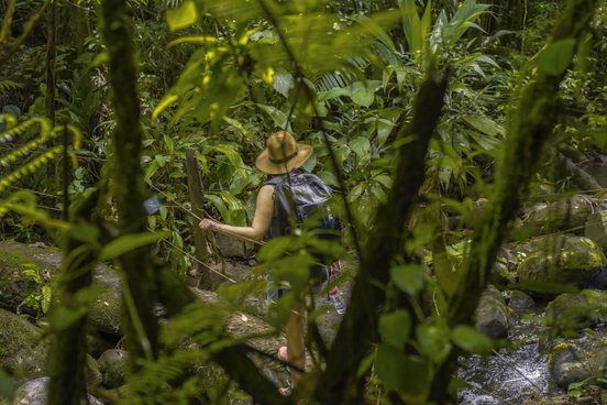 Frau auf einem Wanderweg der La Tigra Rainforest Lodge überquert einen kleinen Bach