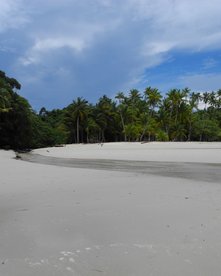 Hellweißer Sand mit Blick auf tropische Vegetation und blauen Himmel