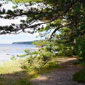 Die Wilde Küste Estlands