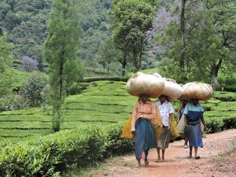 Drei Frauen in Indien tragen etwas auf dem Kopf