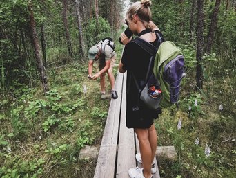 Wanderer erkunden das Moor auf Holzpfaden