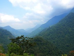 Ausblick auf den Regenwald