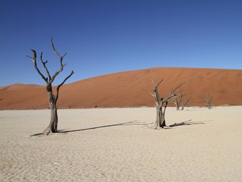 Beste Reisezeit Namibia