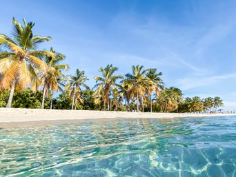 Türkisblaues Meer und Palmen
