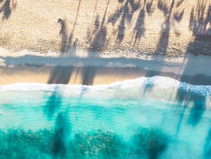 Strand und Meer von oben und Schatten von Palmen