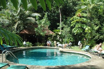 Ein sonniger Pool wird gesäumt von sattgrünen Regenwaldpflanzen