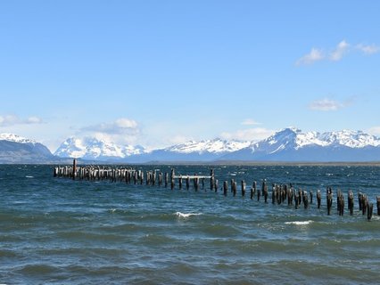 Patagonien Rundreise Selbstfahrer - Puerto Natales - Verfallene Holzpfähle ragen aus dem Wasser eines Sees mit schneebedeckten Bergen im Hintergrund unter blauem Himmel