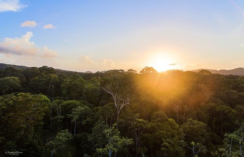 Costa Rica Wanderreise - Sonnenuntergang Regenwald