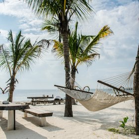 Hängematte zwischen Palmen am Strand