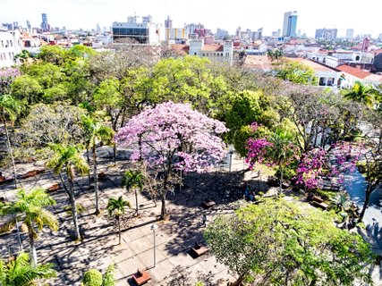 Bolivien Rundreise - Luftaufnahme eines Parks in Santa Cruz