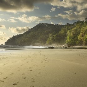 Sonnenuntergang am Strand, goldenes Licht und Dschungel