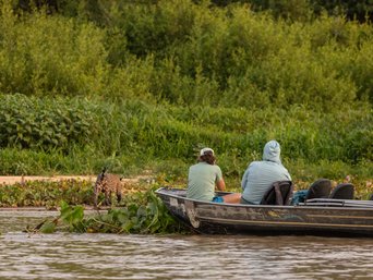Zwei Personen beobachten einen Jaguar vom Boot aus