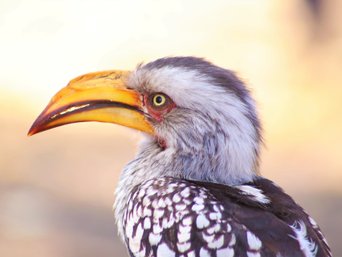 Beste Reisezeit Namibia