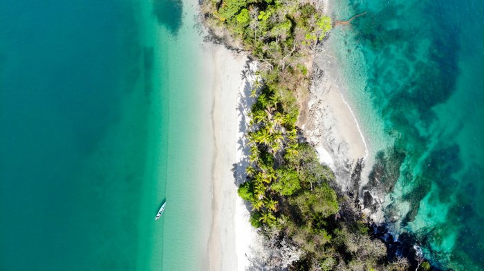 Strand, Palmen, türkisfarbenes Meer von oben