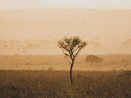 Uganda Rundreise