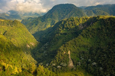 kolumbien selbstfahrer - grüne Berglandschaft