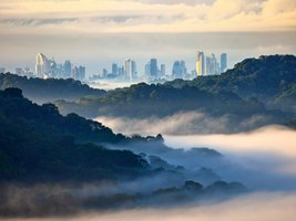 Im Vordergrund Regenwald, im Hintergrund Panama City