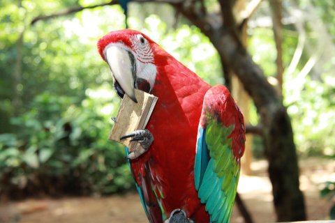 Brasilien Rundreise 2 Wochen 