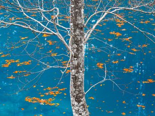 Fotoreisen mit Johannes Kowalewski