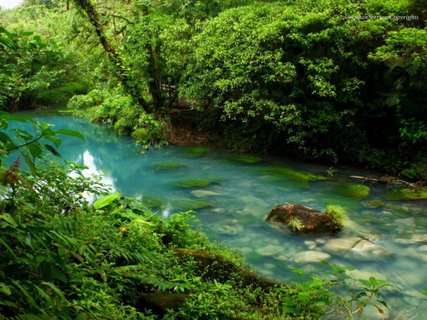 Costa Rica Rundreise 14 Tage -  Türkiser Fluss