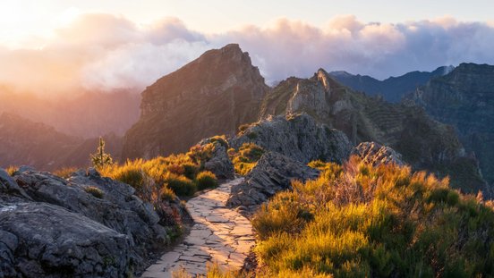 Weg in die Berglandschaft