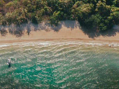 Vogelperspektive auf Strand mit Palmen und türkisem Wasser - Highlight in Costa Rica