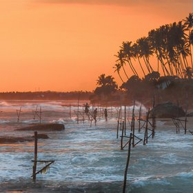 Palmen und Sonnenuntergang am Strand