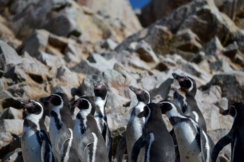 Peru Rundreise 3 Wochen 